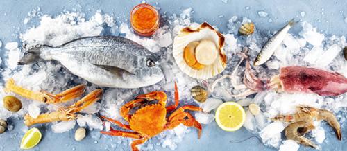 Accord Pain / Produit de la mer : L'océan avec des recettes encore plus gourmandes!